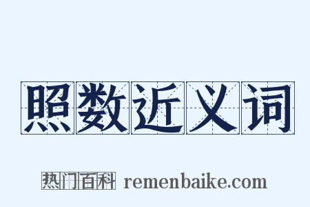 照数近义词是什么意思的图片
